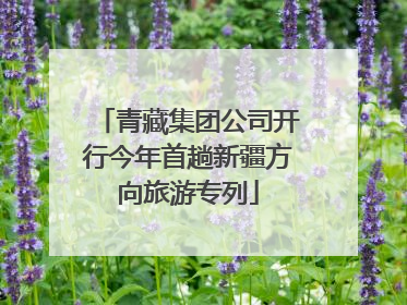 青藏集团公司开行今年首趟新疆方向旅游专列