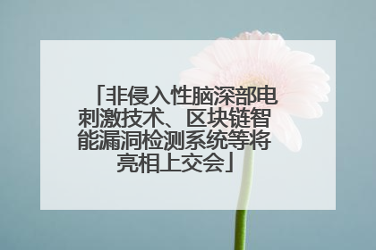 非侵入性脑深部电刺激技术、区块链智能漏洞检测系统等将亮相上交会