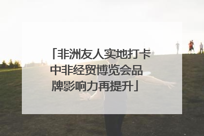 非洲友人实地打卡 中非经贸博览会品牌影响力再提升