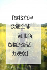 链接京津 货通全球——河北商贸物流新活力观察
