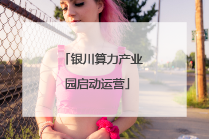 银川算力产业园启动运营