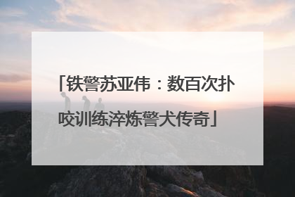 铁警苏亚伟：数百次扑咬训练淬炼警犬传奇