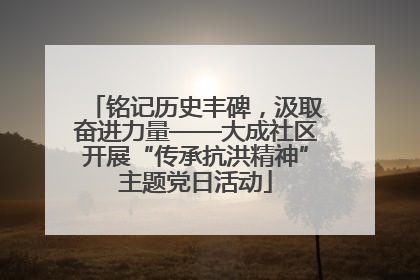 铭记历史丰碑，汲取奋进力量——大成社区开展“传承抗洪精神”主题党日活动