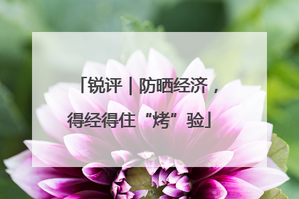锐评｜防晒经济，得经得住“烤”验
