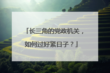 长三角的党政机关，如何过好紧日子？
