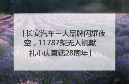 长安汽车三大品牌闪耀夜空，11787架无人机献礼重庆直辖28周年