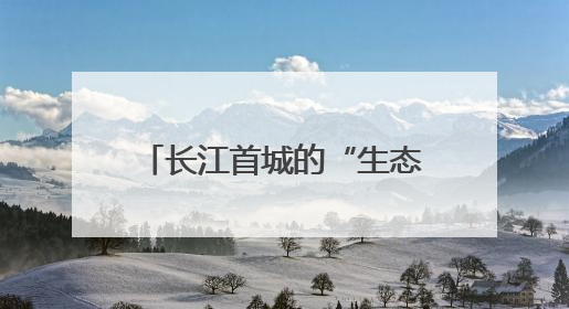 长江首城的“生态答卷”：宜宾绘就上游生态屏障新图景｜中华环保世纪行