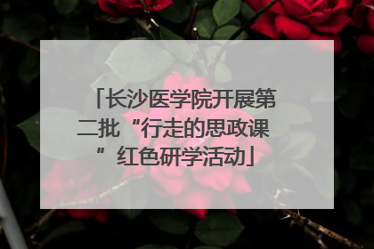长沙医学院开展第二批“行走的思政课”红色研学活动