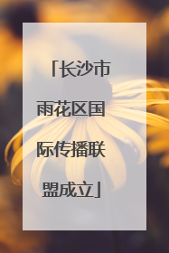 长沙市雨花区国际传播联盟成立
