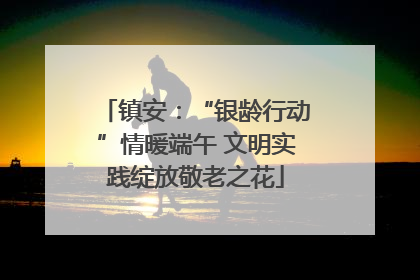 镇安：“银龄行动”情暖端午 文明实践绽放敬老之花