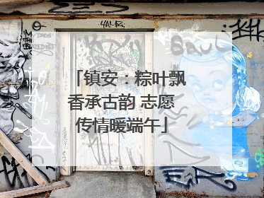 镇安：粽叶飘香承古韵 志愿传情暖端午
