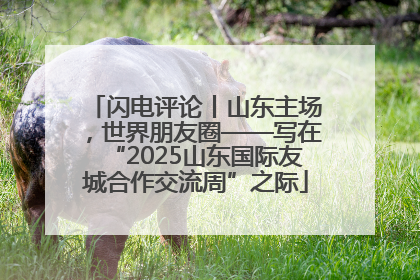 闪电评论丨山东主场，世界朋友圈——写在“2025山东国际友城合作交流周”之际