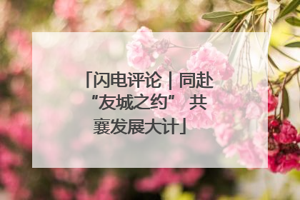 闪电评论｜同赴“友城之约” 共襄发展大计