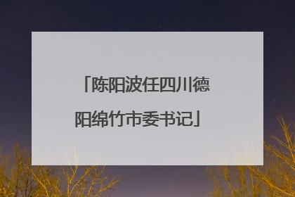 陈阳波任四川德阳绵竹市委书记