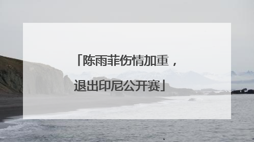 陈雨菲伤情加重，退出印尼公开赛