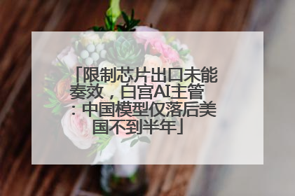 限制芯片出口未能奏效，白宫AI主管：中国模型仅落后美国不到半年
