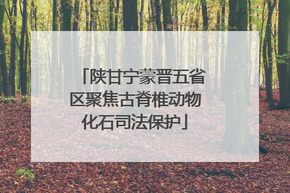 陕甘宁蒙晋五省区聚焦古脊椎动物化石司法保护
