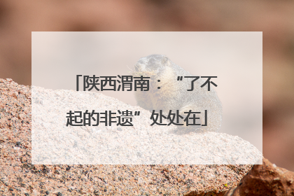 陕西渭南：“了不起的非遗”处处在