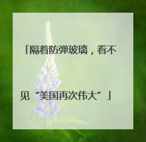 隔着防弹玻璃，看不见“美国再次伟大”