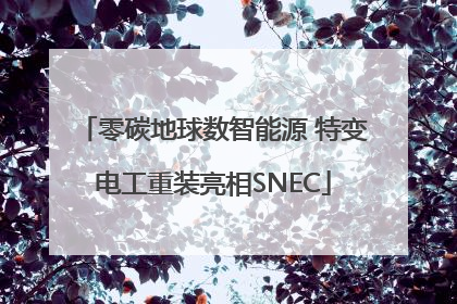 零碳地球数智能源 特变电工重装亮相SNEC