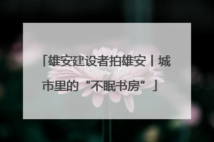 雄安建设者拍雄安丨城市里的“不眠书房”