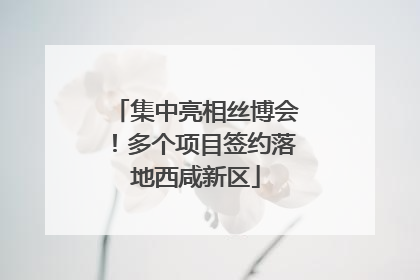 集中亮相丝博会！多个项目签约落地西咸新区