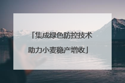 集成绿色防控技术助力小麦稳产增收