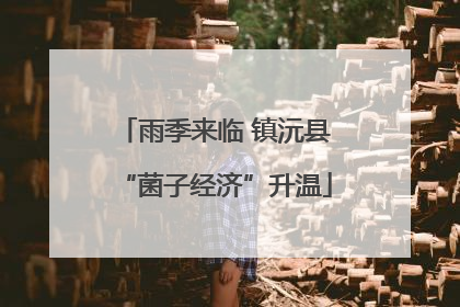 雨季来临 镇沅县“菌子经济”升温