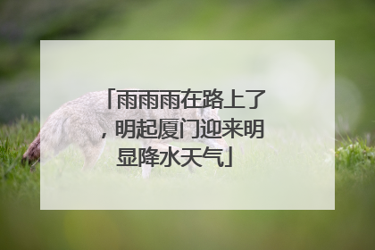雨雨雨在路上了，明起厦门迎来明显降水天气