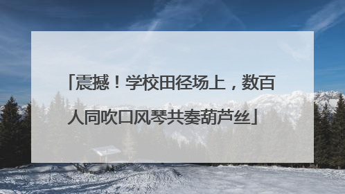震撼！学校田径场上，数百人同吹口风琴共奏葫芦丝