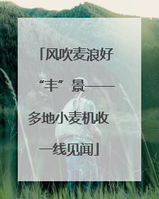 风吹麦浪好“丰”景——多地小麦机收一线见闻