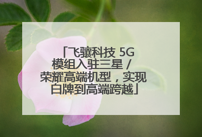 飞骧科技 5G 模组入驻三星 / 荣耀高端机型，实现白牌到高端跨越