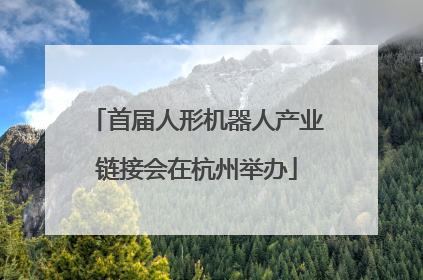 首届人形机器人产业链接会在杭州举办