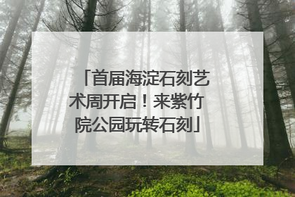 首届海淀石刻艺术周开启！来紫竹院公园玩转石刻