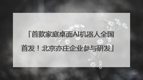 首款家庭桌面AI机器人全国首发！北京亦庄企业参与研发