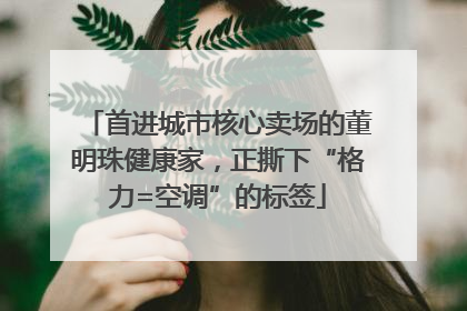 首进城市核心卖场的董明珠健康家，正撕下“格力=空调”的标签
