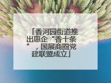 香河园街道推出惠企“香十条”，国展商圈党建联盟成立