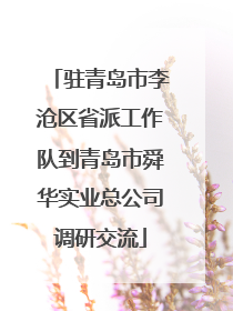 驻青岛市李沧区省派工作队到青岛市舜华实业总公司调研交流