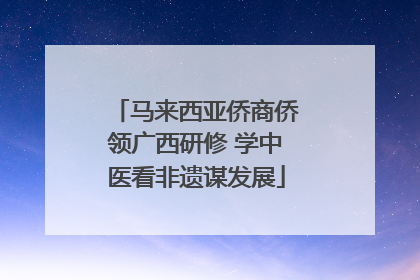 马来西亚侨商侨领广西研修 学中医看非遗谋发展