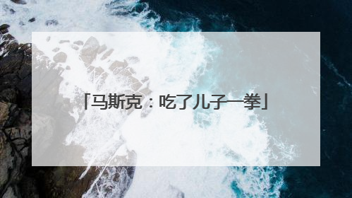 马斯克：吃了儿子一拳