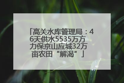 高关水库管理局：46天供水5535万方 力保京山应城32万亩农田“解渴”