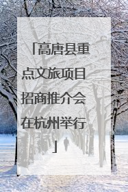 高唐县重点文旅项目招商推介会在杭州举行