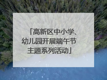 高新区中小学、幼儿园开展端午节主题系列活动