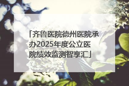 齐鲁医院德州医院承办2025年度公立医院绩效监测智享汇