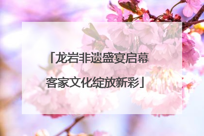 龙岩非遗盛宴启幕 客家文化绽放新彩