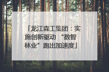 龙江森工集团：实施创新驱动 “数智林业”跑出加速度