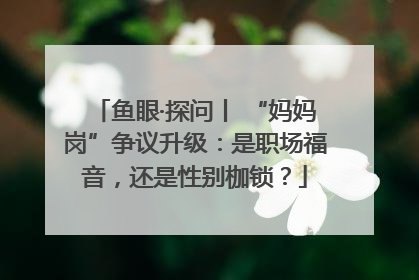 鱼眼·探问丨 “妈妈岗”争议升级：是职场福音，还是性别枷锁？