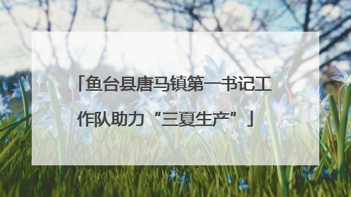 鱼台县唐马镇第一书记工作队助力“三夏生产”