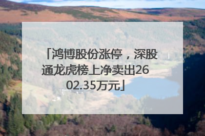 鸿博股份涨停，深股通龙虎榜上净卖出2602.35万元