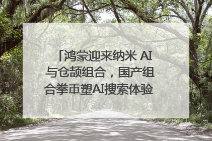 鸿蒙迎来纳米 AI 与仓颉组合，国产组合拳重塑AI搜索体验｜新经济观察